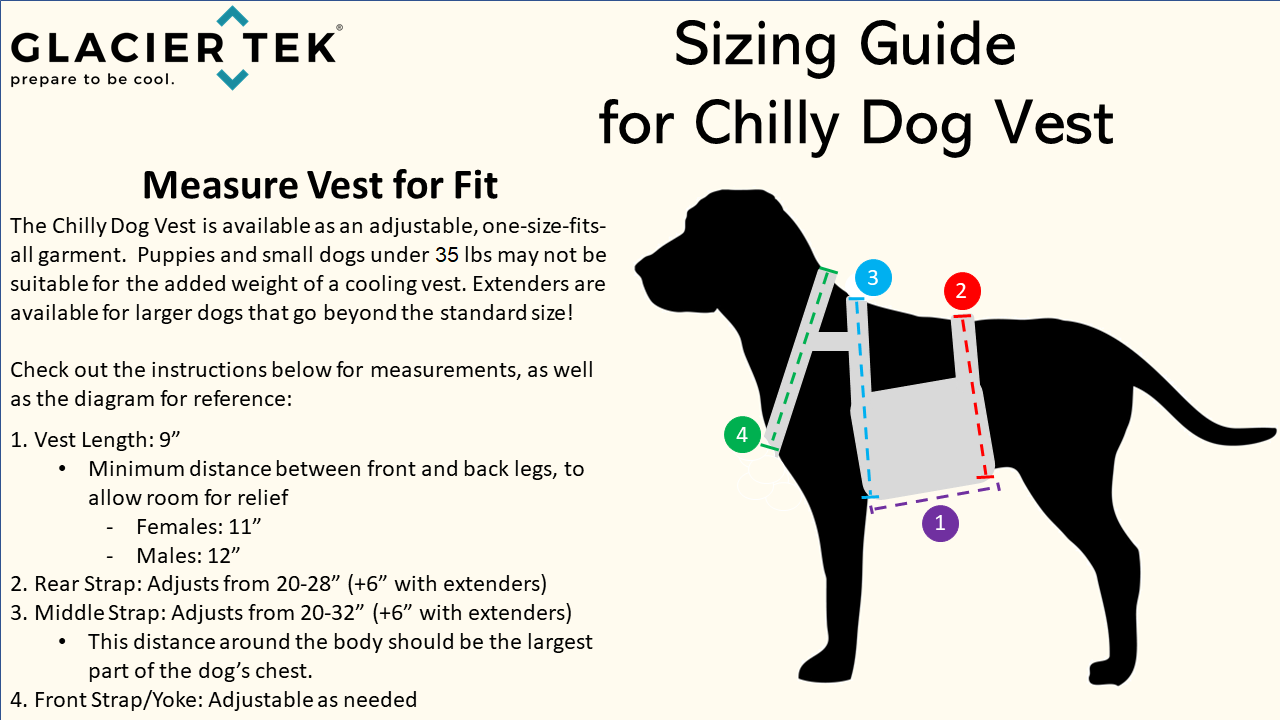 ChillyDog Dog Cooling Vest