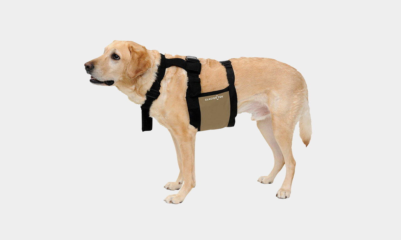 ChillyDog Dog Cooling Vest