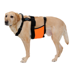 ChillyDog Dog Cooling Vest
